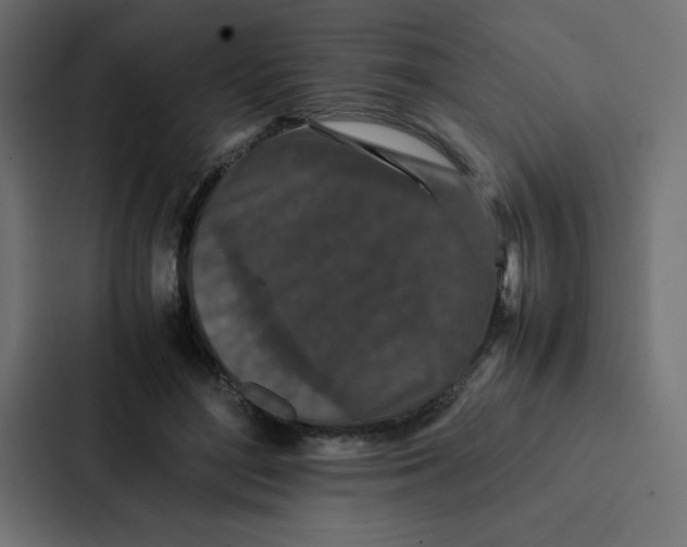 X0000087060500200705161015