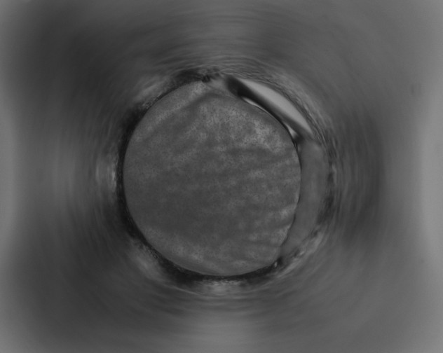 X0000087060501200705161015