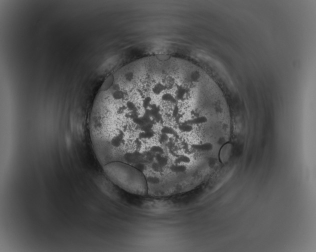 X0000087060503200705161015