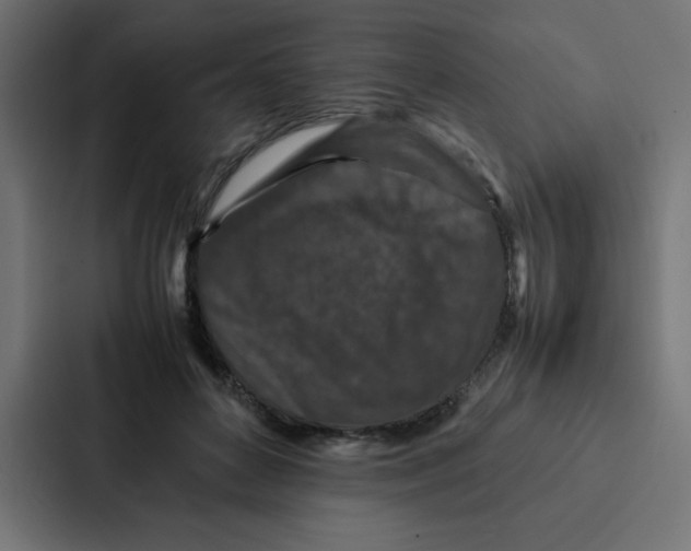 X0000087060504200705161015