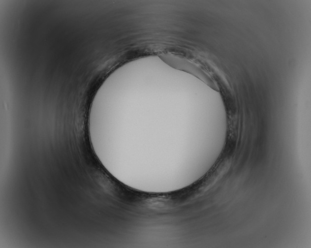 X0000087060505200705161015