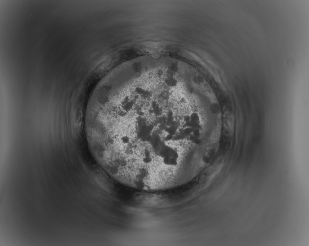 X0000087060507200705161015