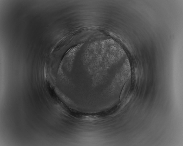 X0000087060508200705161015