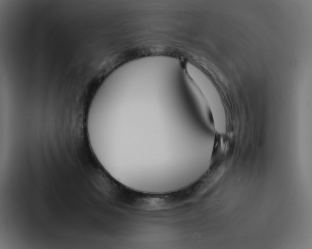 X0000087060509200705161015