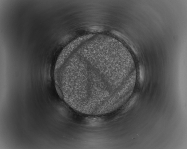 X0000087060512200705161015