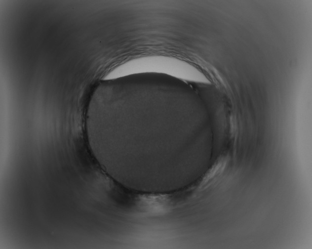 X0000087060517200705161015