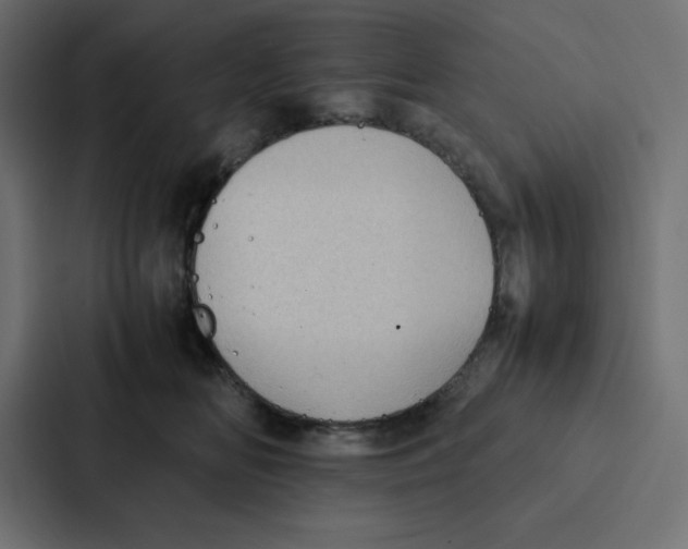 X0000087060518200705161015