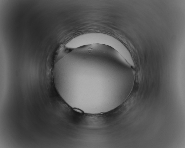 X0000087060521200705161015