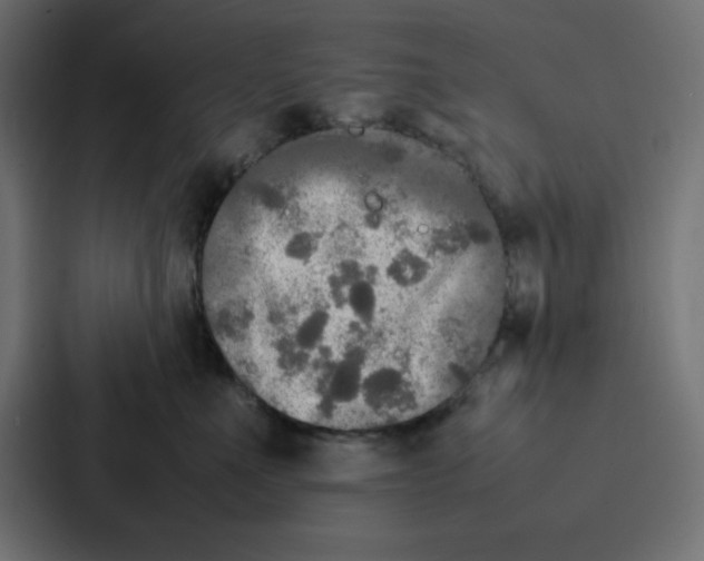 X0000087060523200705161014