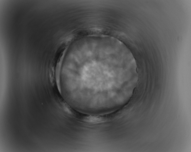 X0000087060528200705161014