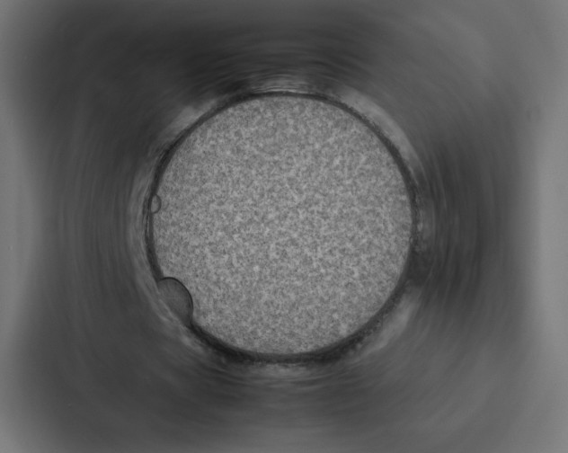 X0000087060529200705161014