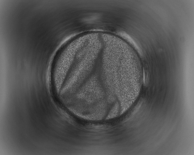 X0000087060531200705161014