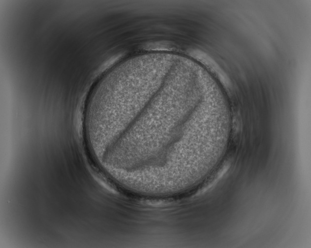 X0000087060533200705161014