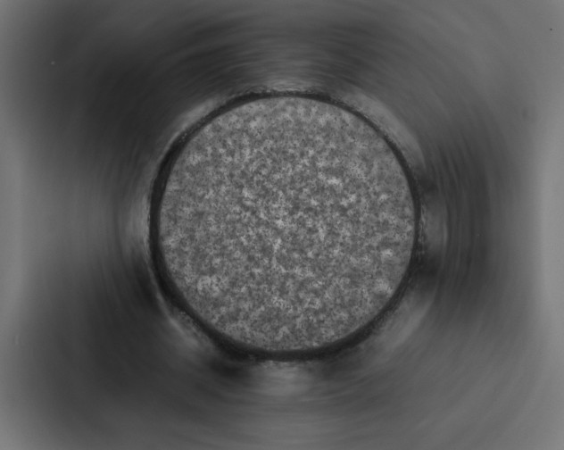 X0000087060534200705161014