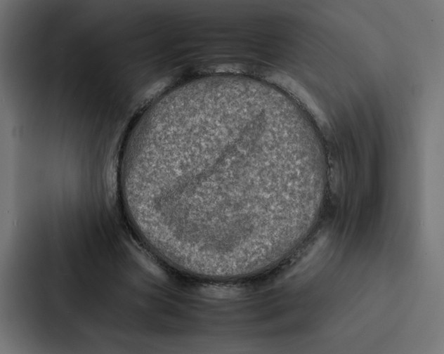 X0000087060537200705161014