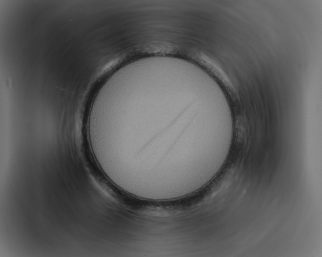 X0000087060538200705161014