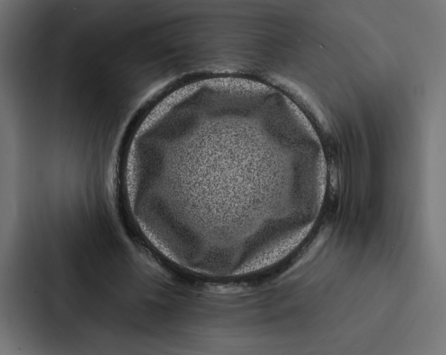 X0000087060540200705161014