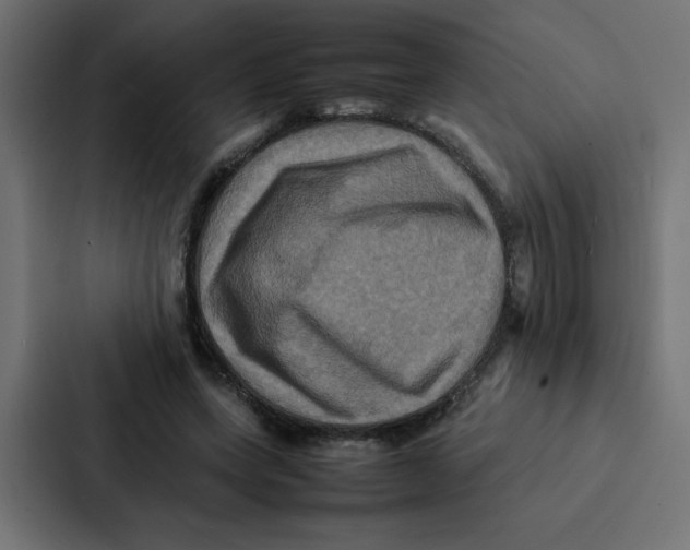 X0000087060543200705161014