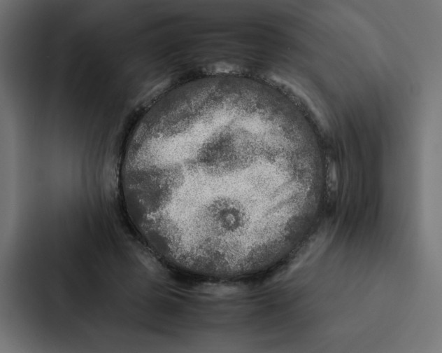 X0000087060545200705161014