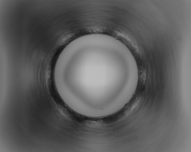 X0000087060548200705161014