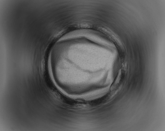 X0000087060552200705161014