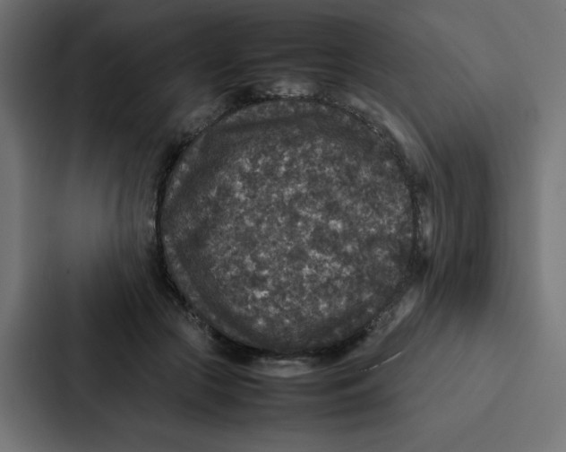 X0000087060553200705161014