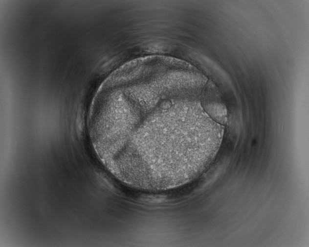 X0000087060554200705161014