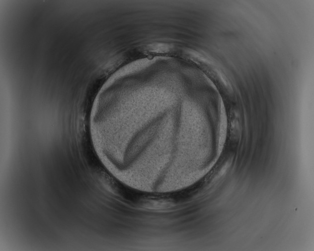 X0000087060555200705161014