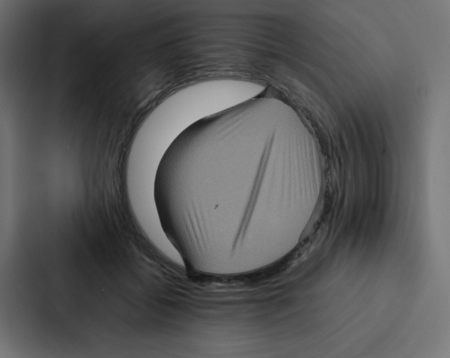 X0000087060556200705161014