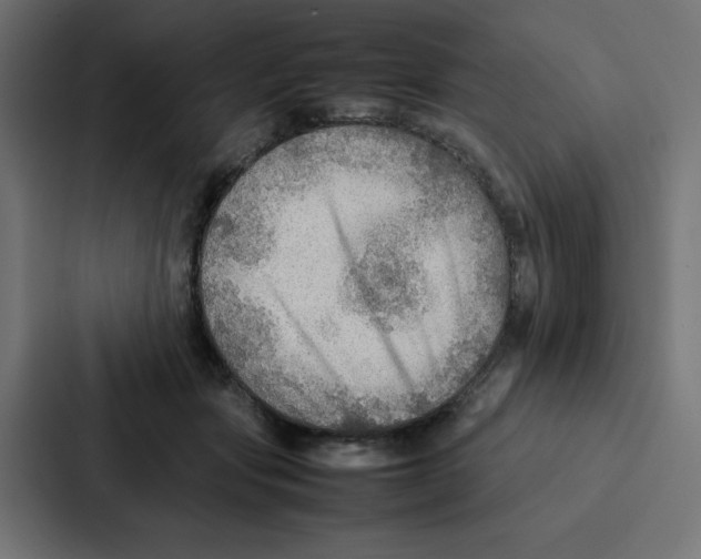 X0000087060557200705161014