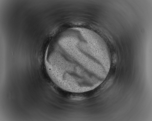 X0000087060559200705161014