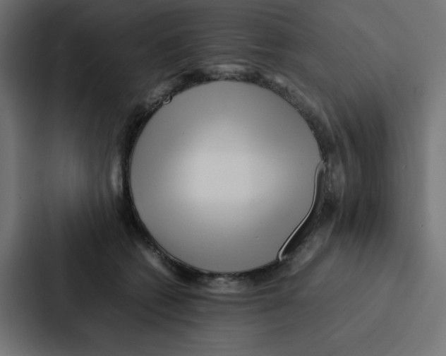 X0000087060562200705161014