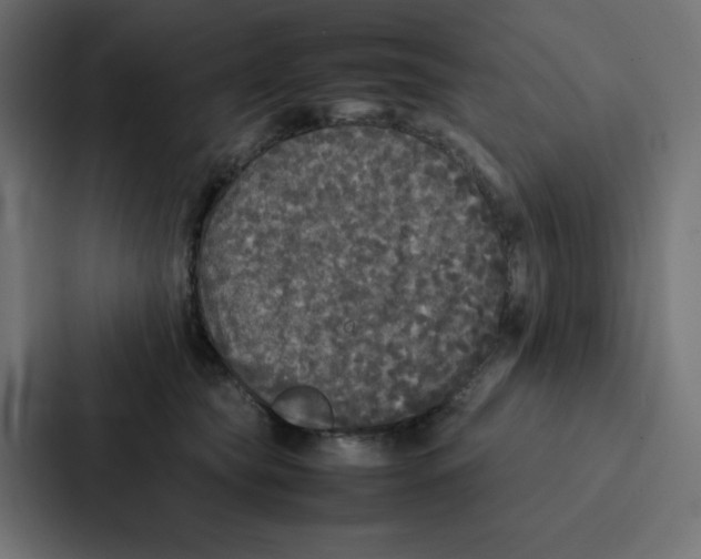 X0000087060565200705161014