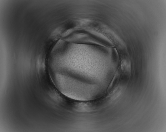 X0000087060566200705161014