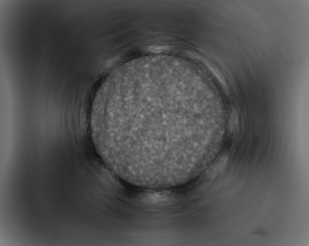 X0000087060569200705161014