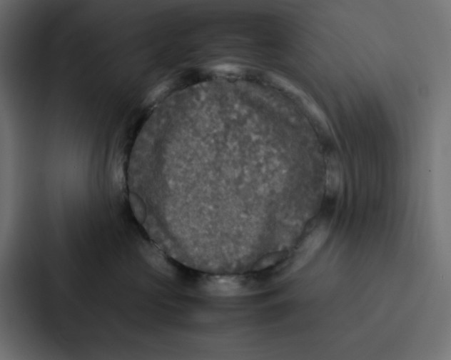 X0000087060573200705161014