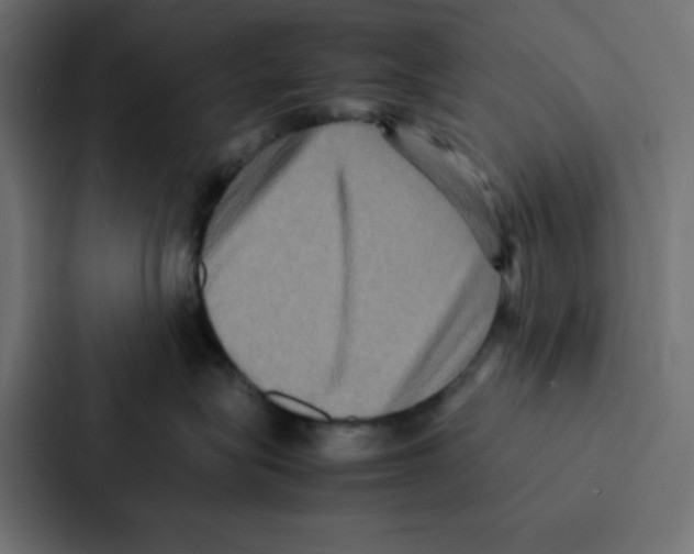 X0000087060575200705161014