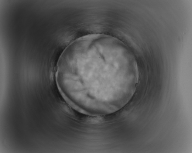 X0000087060576200705161014