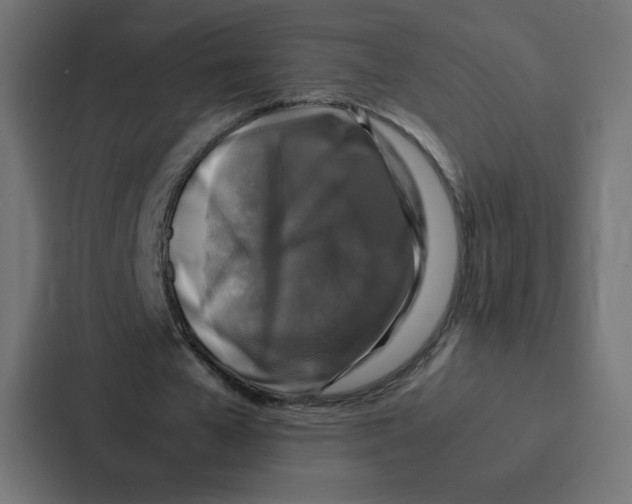 X0000087060577200705161014