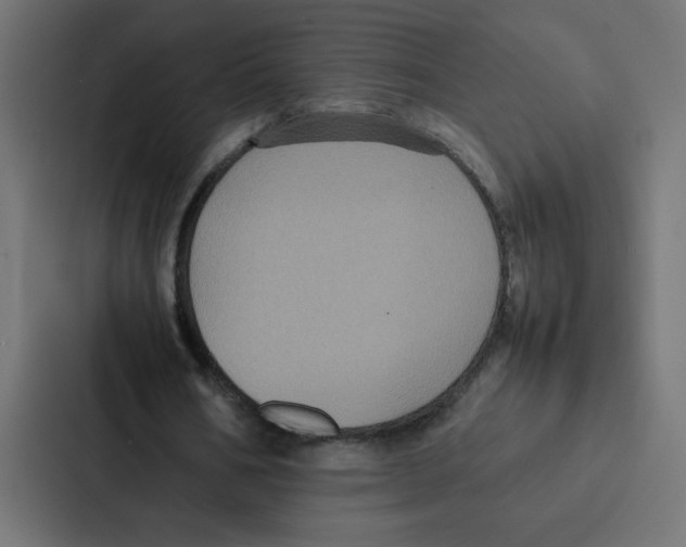 X0000087060578200705161014