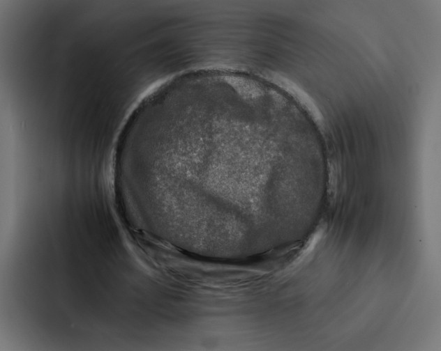 X0000087060580200705161014