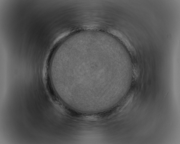 X0000087060583200705161014