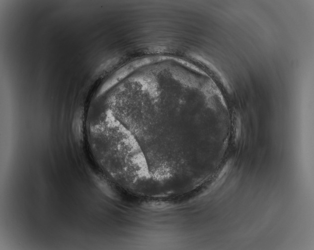 X0000087060590200705161014