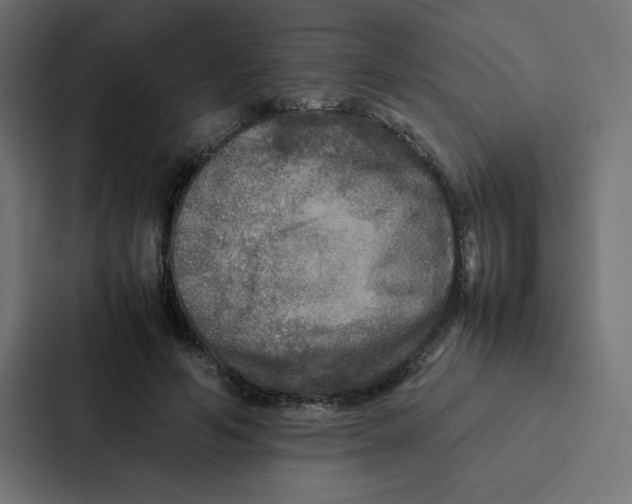 X0000087060594200705161014