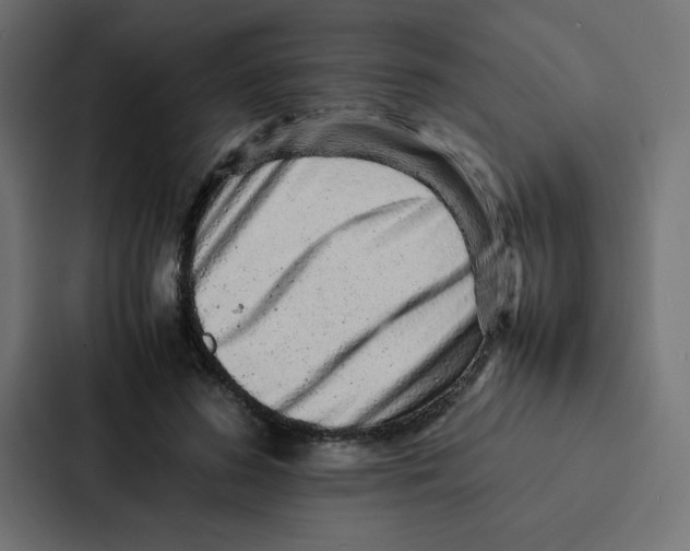 X0000087060596200705161014