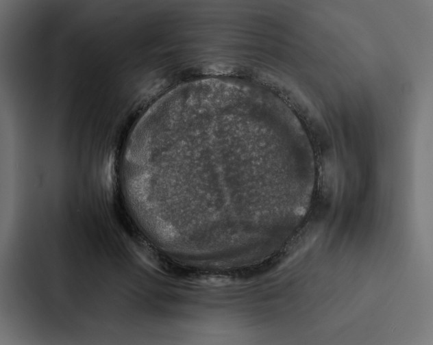 X0000087060598200705161013