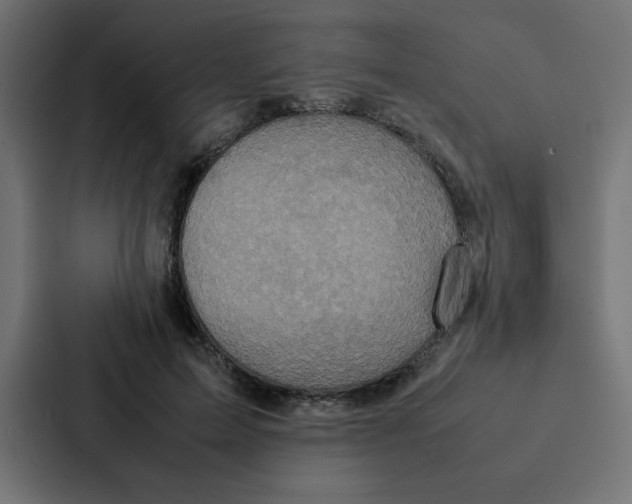 X0000087060599200705161013