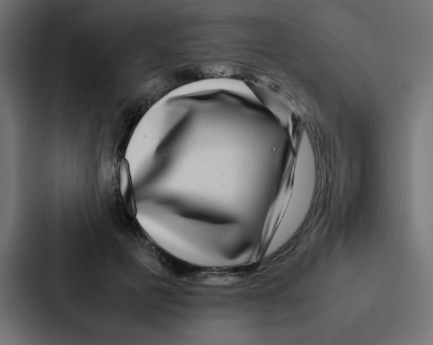 X0000087060601200705161013