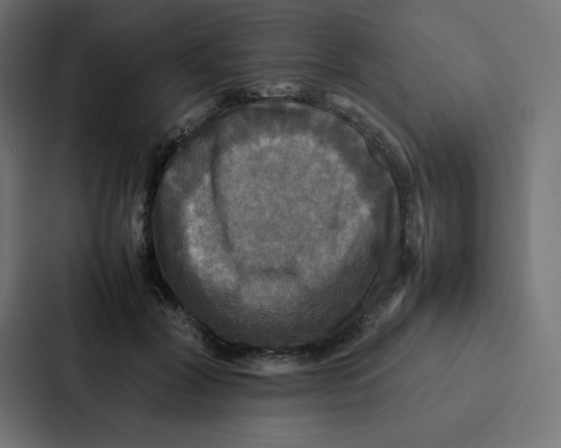 X0000087060604200705161013