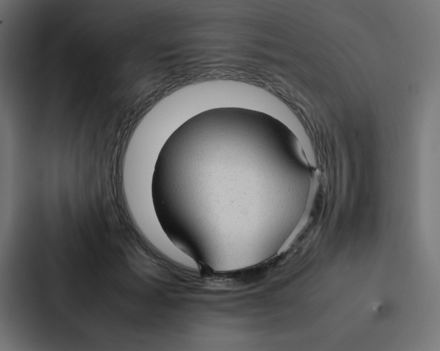 X0000087060605200705161013